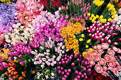 如梦似幻的类魂冒险游戏《末光》将于4月25日在主机平台和PC上发动其快节奏的战斗